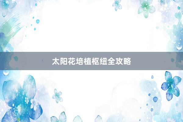 太阳花培植枢纽全攻略